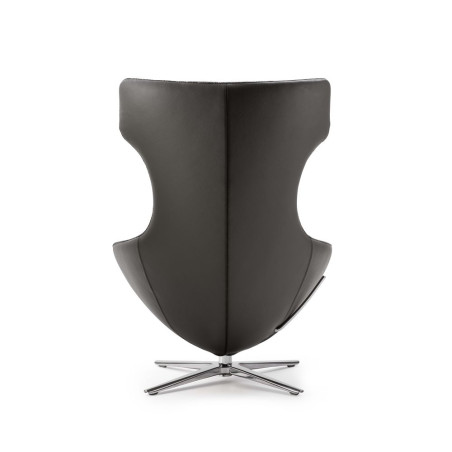 caruzzo Sessel leolux wohndesign berlin Primo Ampio von hinten