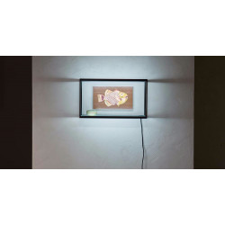 Lichtbox von Gera mit Bild und Objekt