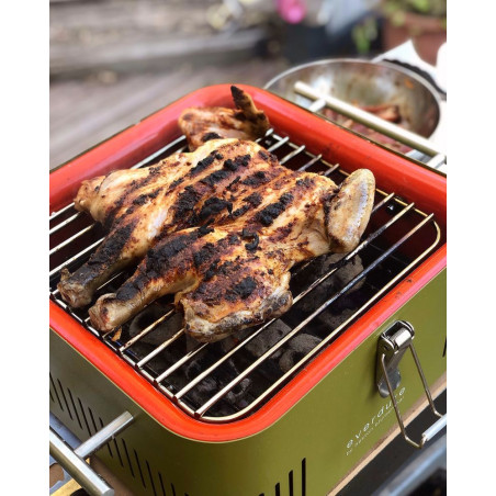 Cube Grill von Everdure im Einsatz